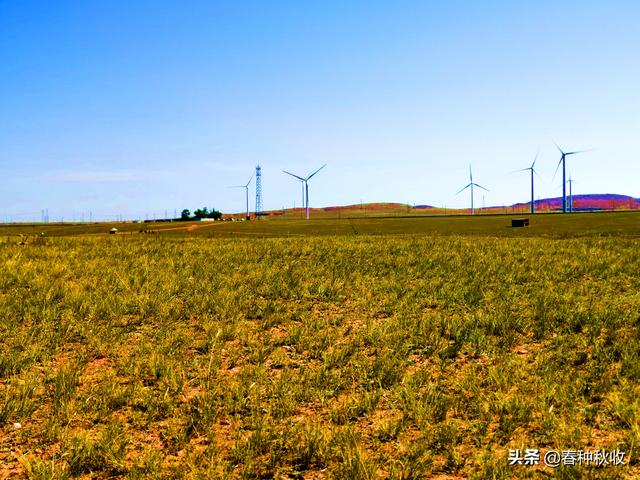 1 12 由包头乘车北行,过固阳县就进入白云鄂博大草原了.