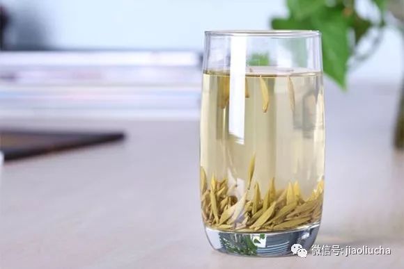 为什么说白茶是最温厚、好脾气的茶？