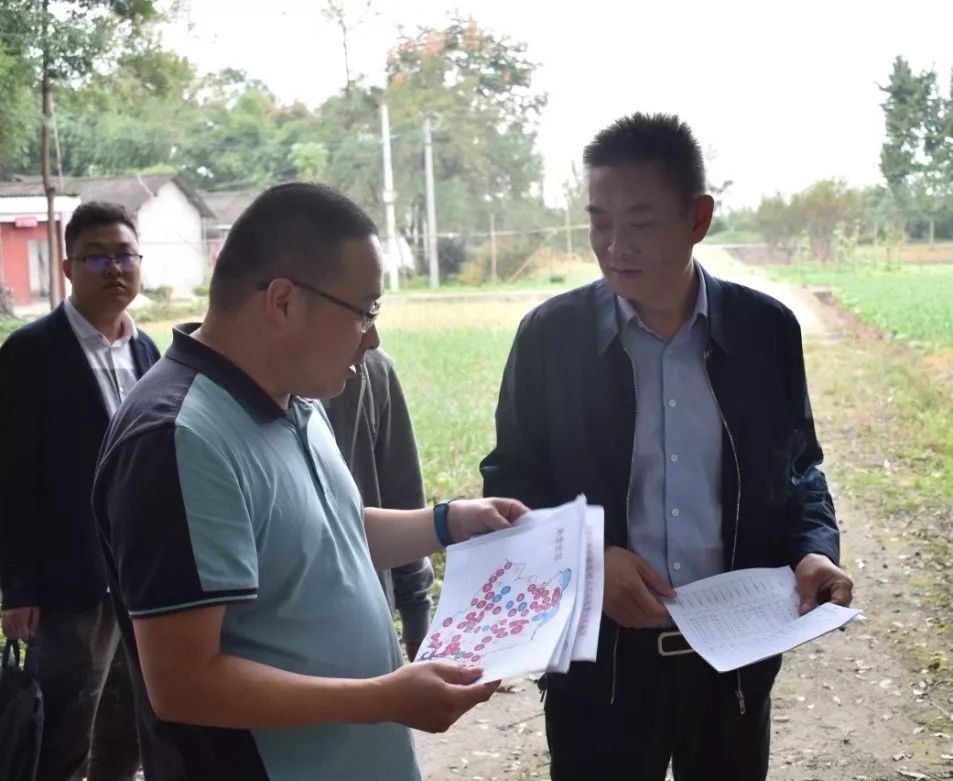 【工作动态】区农业农村局局长冯敏到新民镇检查农村人居环境整治