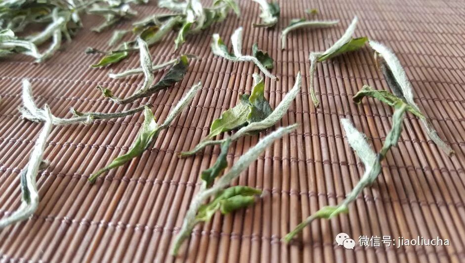 为什么说白茶是最温厚、好脾气的茶？