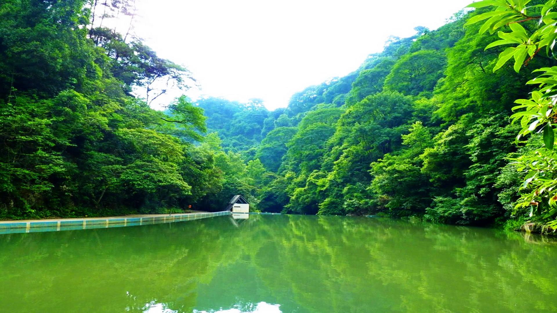 横县经济总量_横县鱼生图片(3)