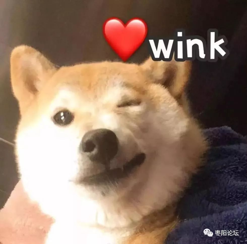 8cf8d58e21f84263b02a08fc782c9162.jpeg