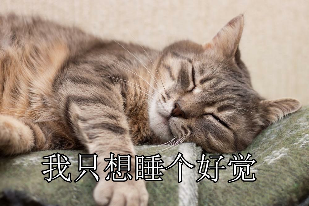 9545ba3a66a64c5fa05018bae6c382af.jpeg