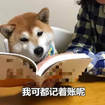 9f3cb2ccaa384bf1bc49e44bcc4aec05.jpeg