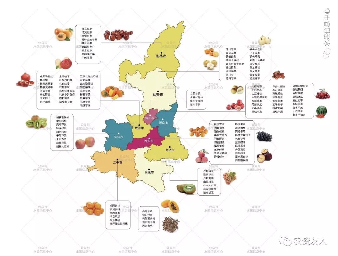 中国最大的水果生产基地陕西水果地图