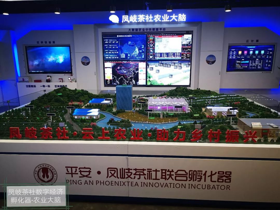 世界互联网大会期间凤岐茶社数字经济孵化器功能区位导览图