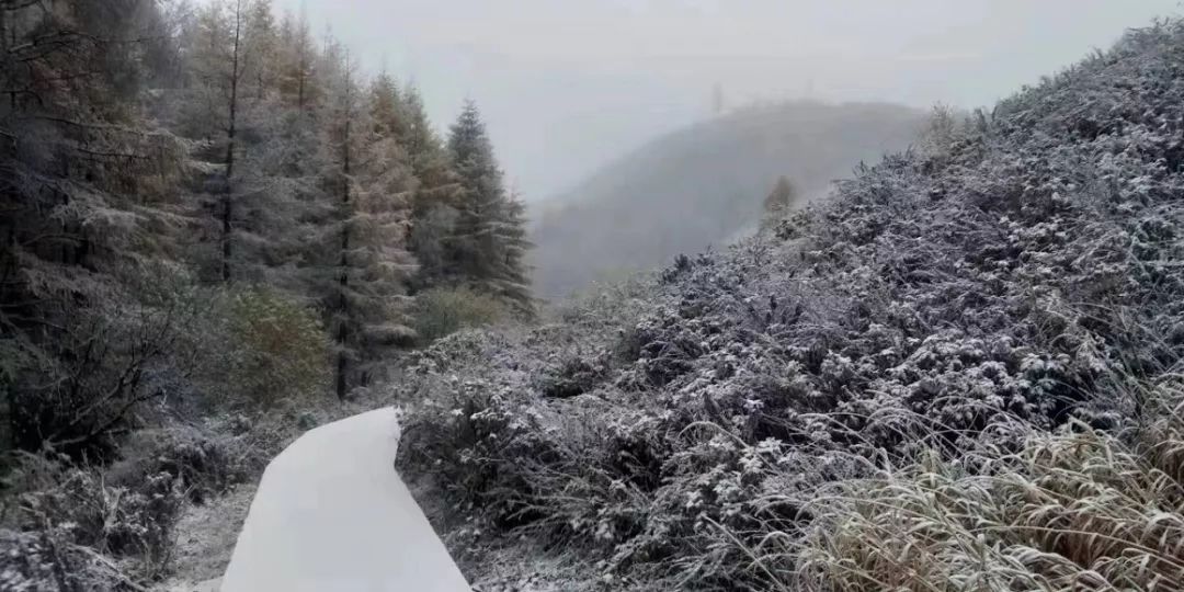 b4d16727e6284a299056ed8c99a20cf2.jpeg