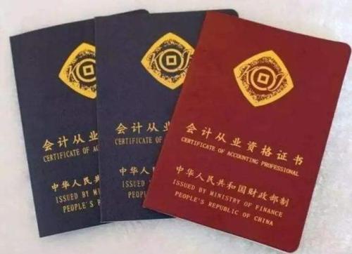 法证先锋3