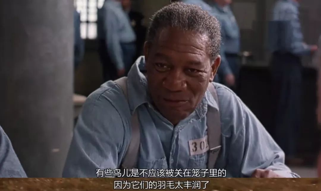 b7cd972977844b67b2eb8061e62a526a.jpeg