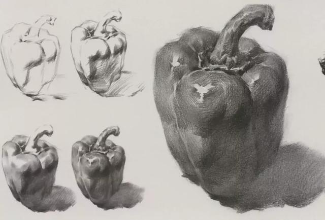 素描单体一青椒静物