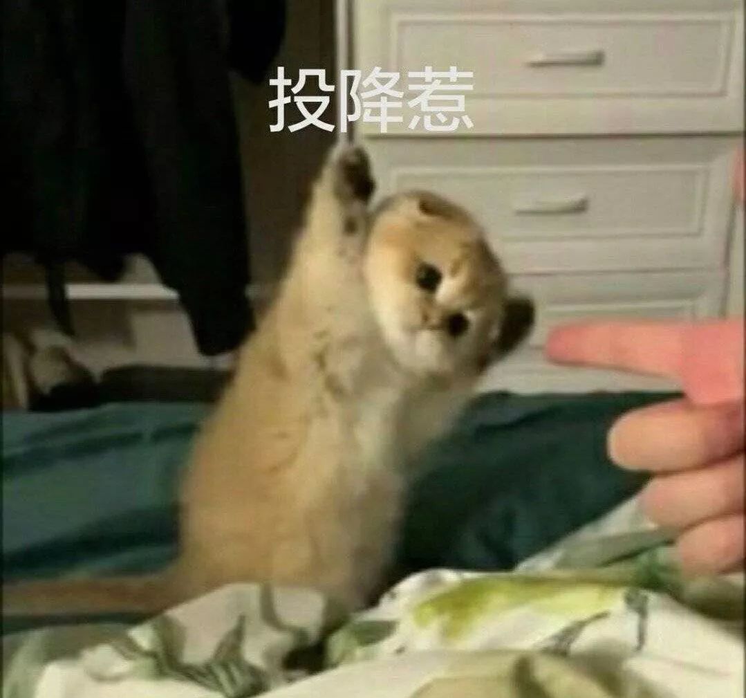 bb8851bed6e04a61b9b9ec0ccf036f19.jpeg
