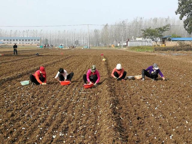 什么时候最适合发动态 bf54d0f4e31e4f5189c64f3bf32c1a7f.jpeg