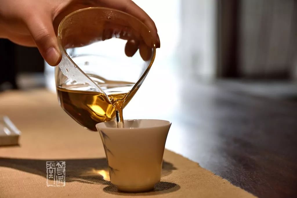 为什么说白茶是最温厚、好脾气的茶？