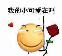 问对方在不在的表情包合集我的小宝贝在吗
