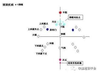 腹针:落藏,经络,八卦(治百病)