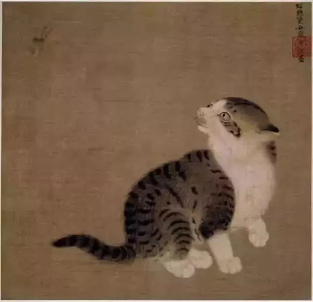 在家怎样养猫 ef3067ab354f4426b0e6965bbb22debd.jpeg