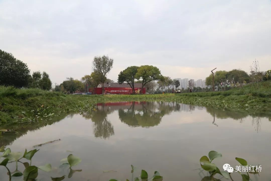 昔日棚户变公园 子牙河畔绿意浓—红桥区子牙河滨河公园一期工程