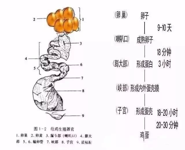 f61fb6dd9b084091b1c52fe1011b2bc3.JPG