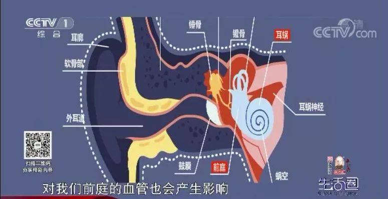 耳鸣耳闷听力突然下降是咋回事专家一定要及时就医