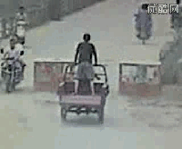 奇闻轶事|老虎| 一个搞笑gif