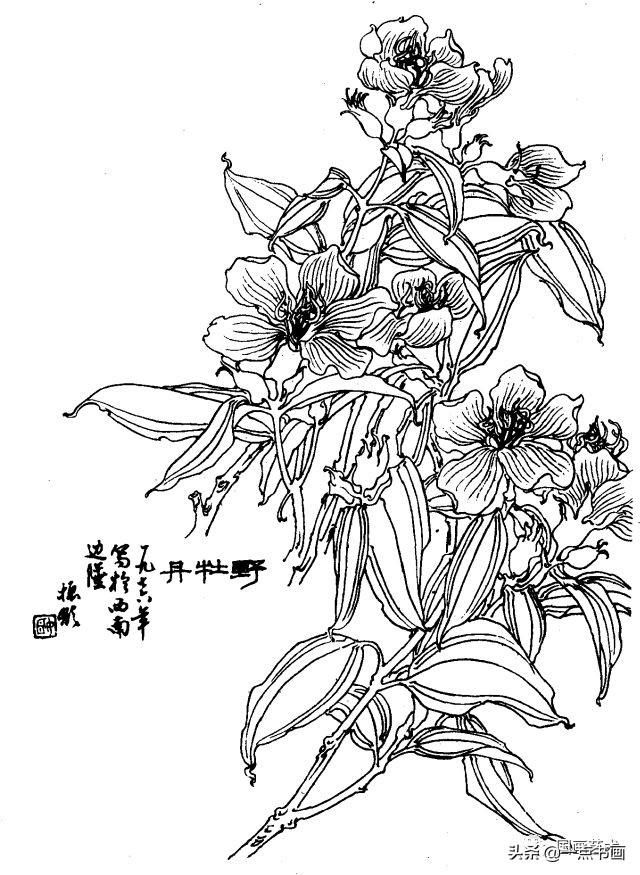 槟榔木瓜芒果野菠萝仙人掌野合欢倒挂金钟鸡蛋花石栗刺杜鹃金花菖兰