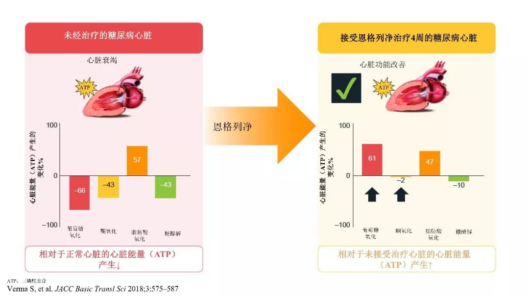 多管齐下,恩格列净展现多重心血管保护机制