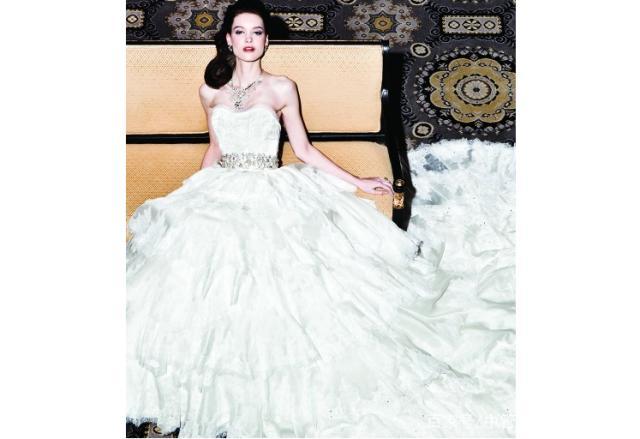 世界上最贵的婚纱图片_世界上最漂亮的婚纱(3)
