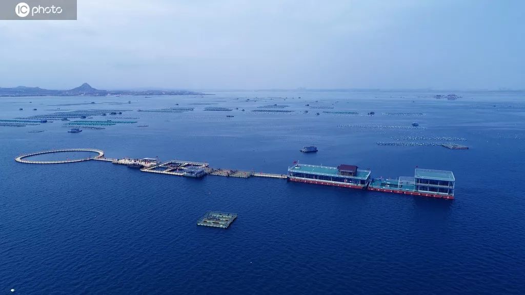 海洋经济总量再上新阶段_海洋动物简笔画