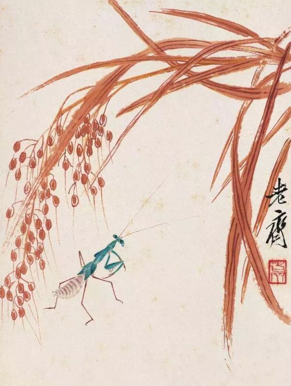 图文教程|写意草虫基本画法(附齐白石草虫欣赏)