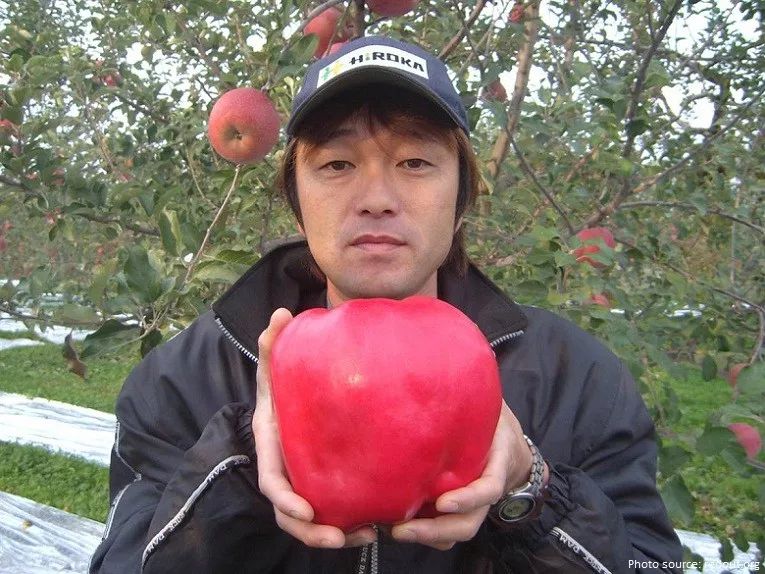 【科普】你所不知道的苹果_世界