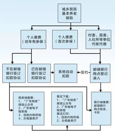 民基本养老保险政策如有调整将按最新规定执行。城乡居保缴费流程如下：