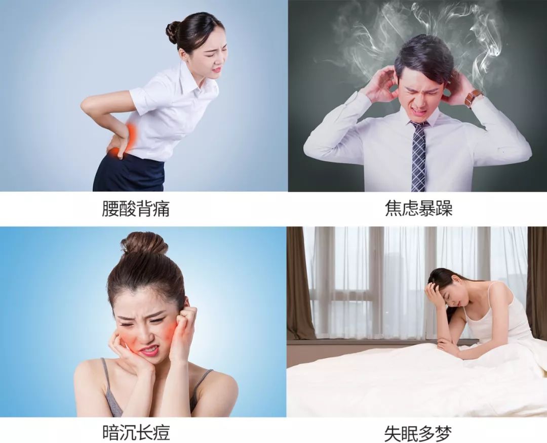 贵比黄金的 神仙食粮 九蒸九晒超滋补 医圣孙思邈也用它养生 种植