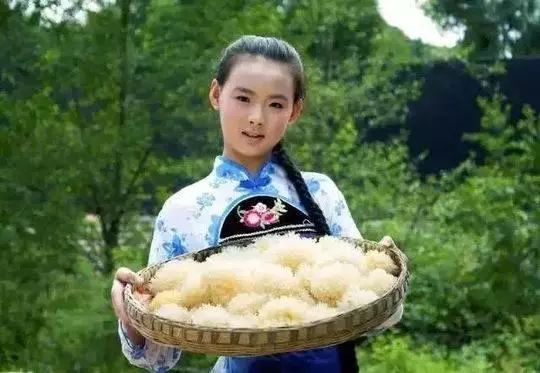 银耳排行榜_2016年中国银耳十大品牌排行榜