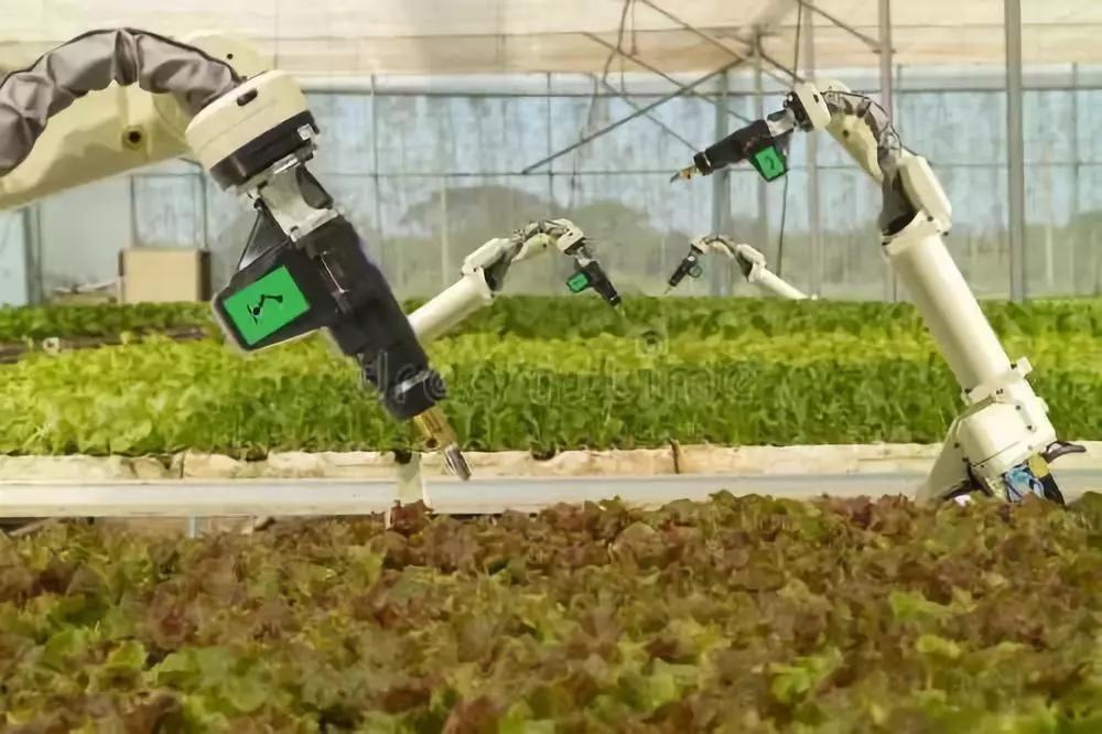中国农业机器人研究产出规模超过美国！重点发展收获和采摘机器人