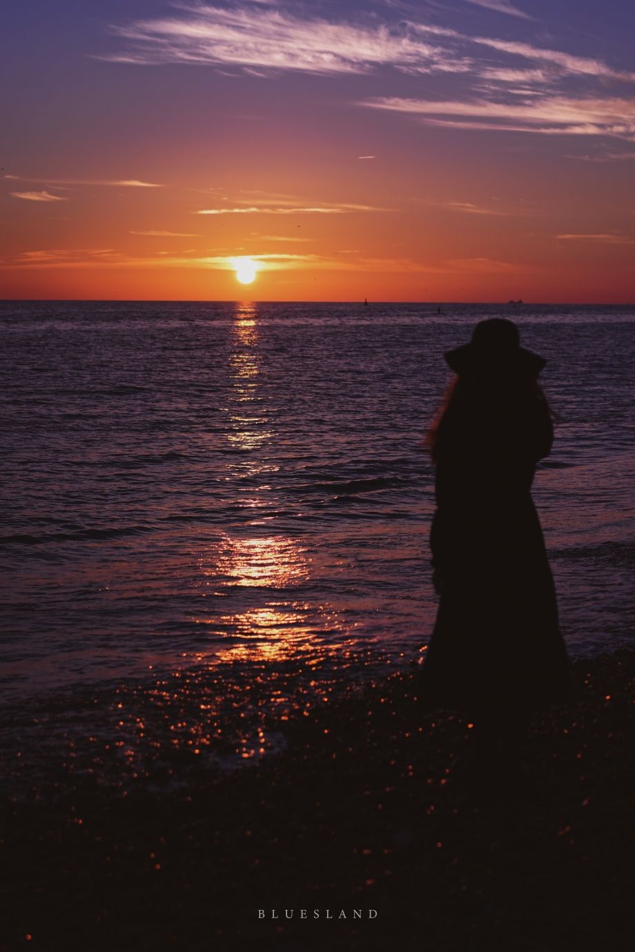 爱在日落黄昏后