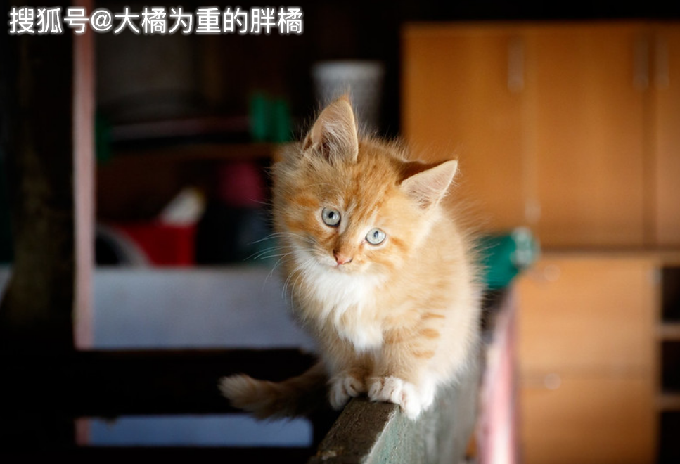 7cb77991ea204bf3be010c27a256916e.png