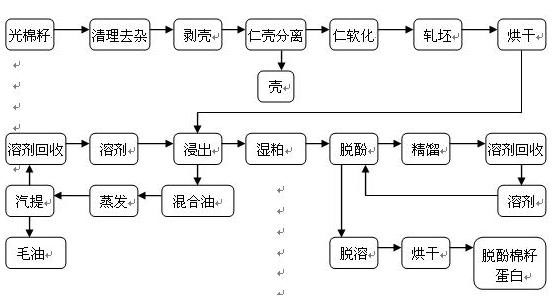 土法压榨山茶油更因天然环保的卖点深得用户推崇.