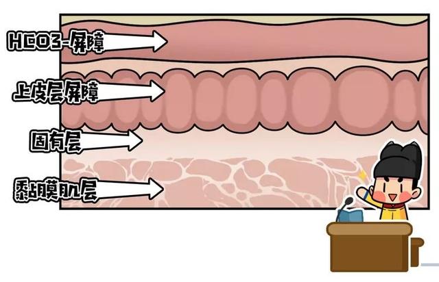 着是一层膜损伤胃黏膜闲着无聊就会来拆自家塔胃酸没活干不吃早餐传闻