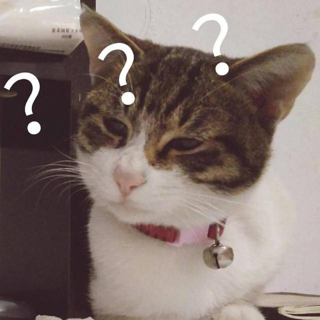 知识科普|注册会计师和初级会计师有什么区别？