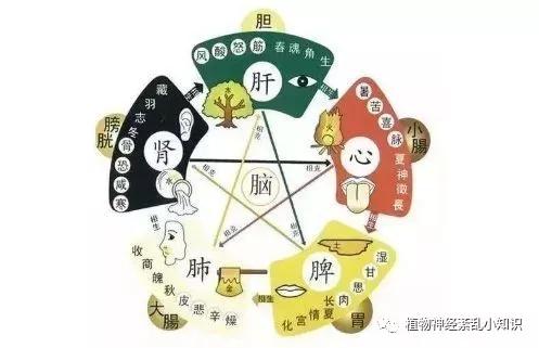 9fa30e780e394c61a99ab60de1b5e56c.JPG