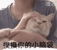 表情包|喵星人已占领你的朋友圈