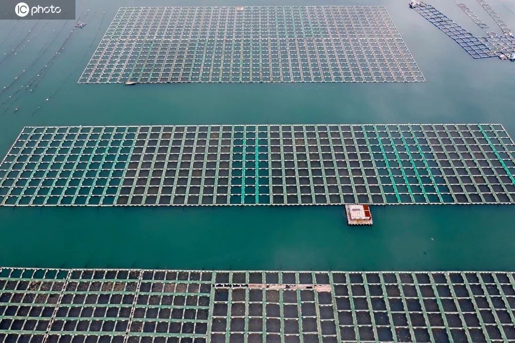 海洋经济总量再上新阶段_海洋动物简笔画