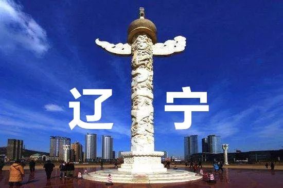 东北人均gdp低于全国水平_中国是发达国家还是发展中国家(3)