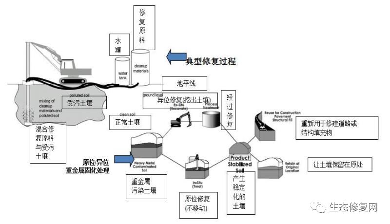 行业观察土壤重金属污染修复技术研究统计及分析