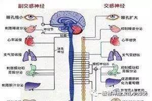 db1be472c12c4db48995bcaa1815feaf.JPG