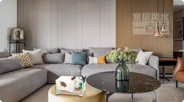 乌龟为什么不能放在客厅里 e7b097ca553c46df94d43bf6b6a394c7.jpeg