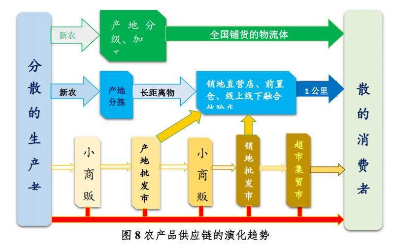 人口发展趋势研究报告_我国人口老龄化趋势图(3)