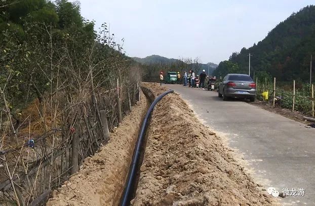 劳姓人口_人口普查图片(3)
