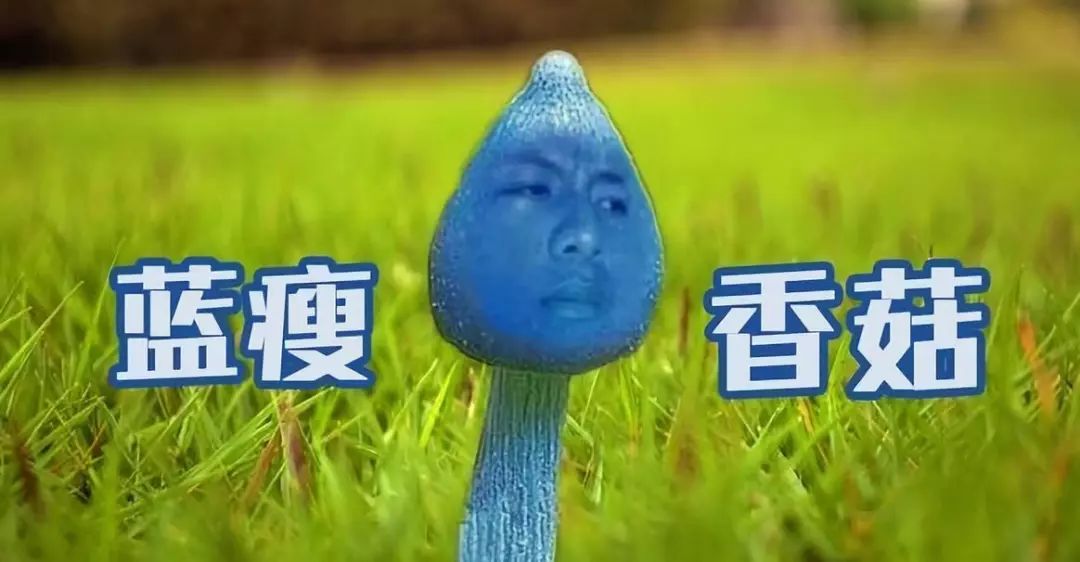 广西老表的普通话,比螺蛳粉还让人上头