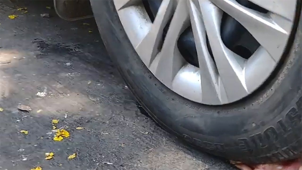 鸡 泥 轮胎 煤炭 猜一成语_轮胎图片卡通(2)